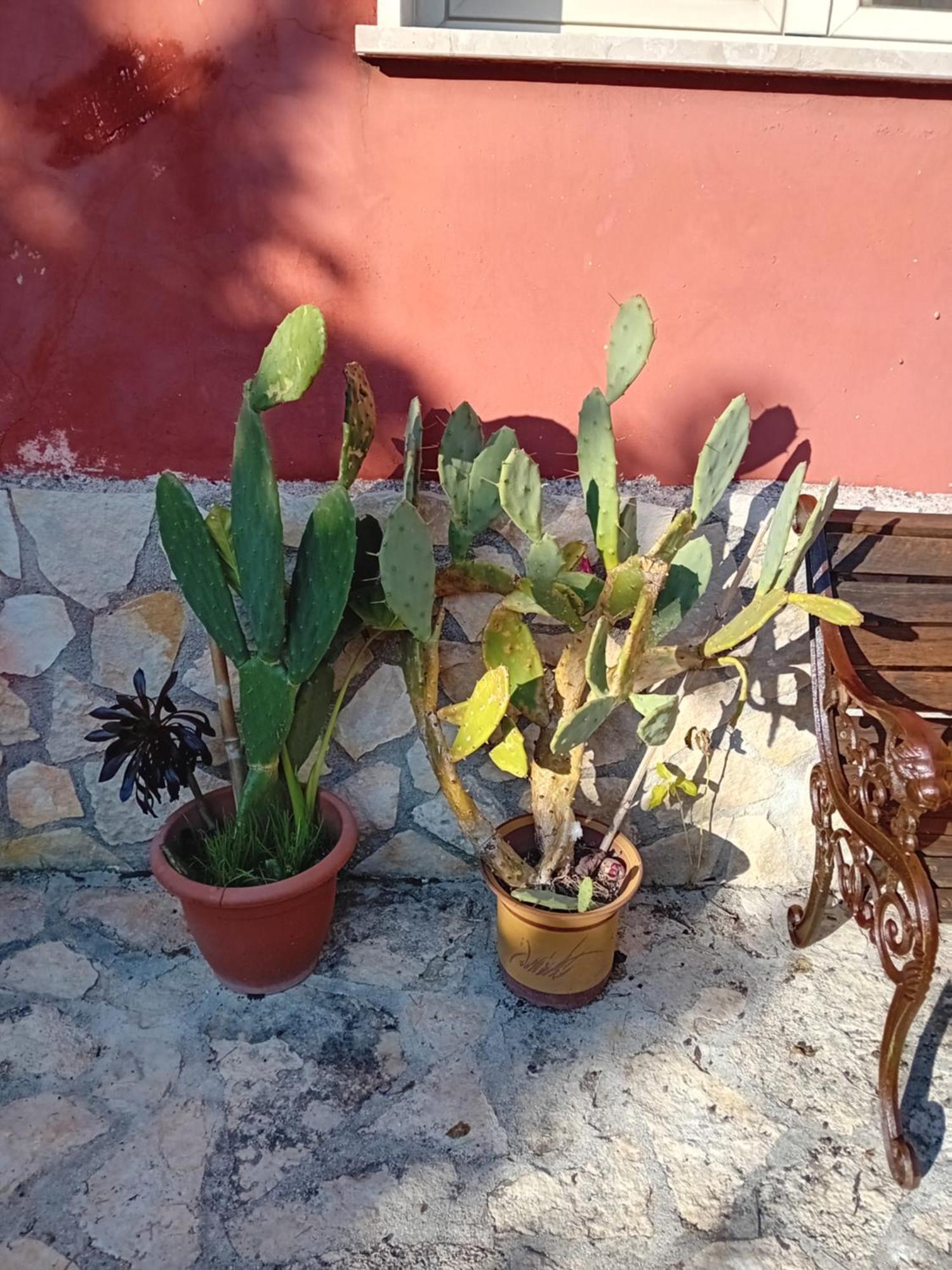 Ferienwohnung Bella Di Notte San Giorgio a Liri Exterior foto