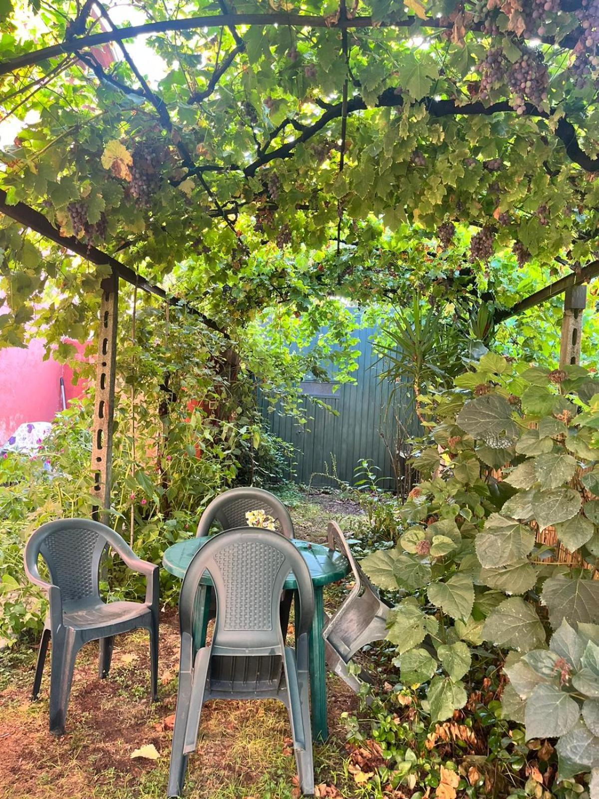 Ferienwohnung Bella Di Notte San Giorgio a Liri Exterior foto