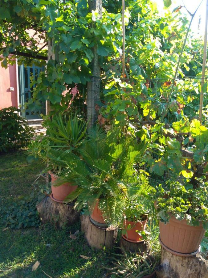 Ferienwohnung Bella Di Notte San Giorgio a Liri Exterior foto